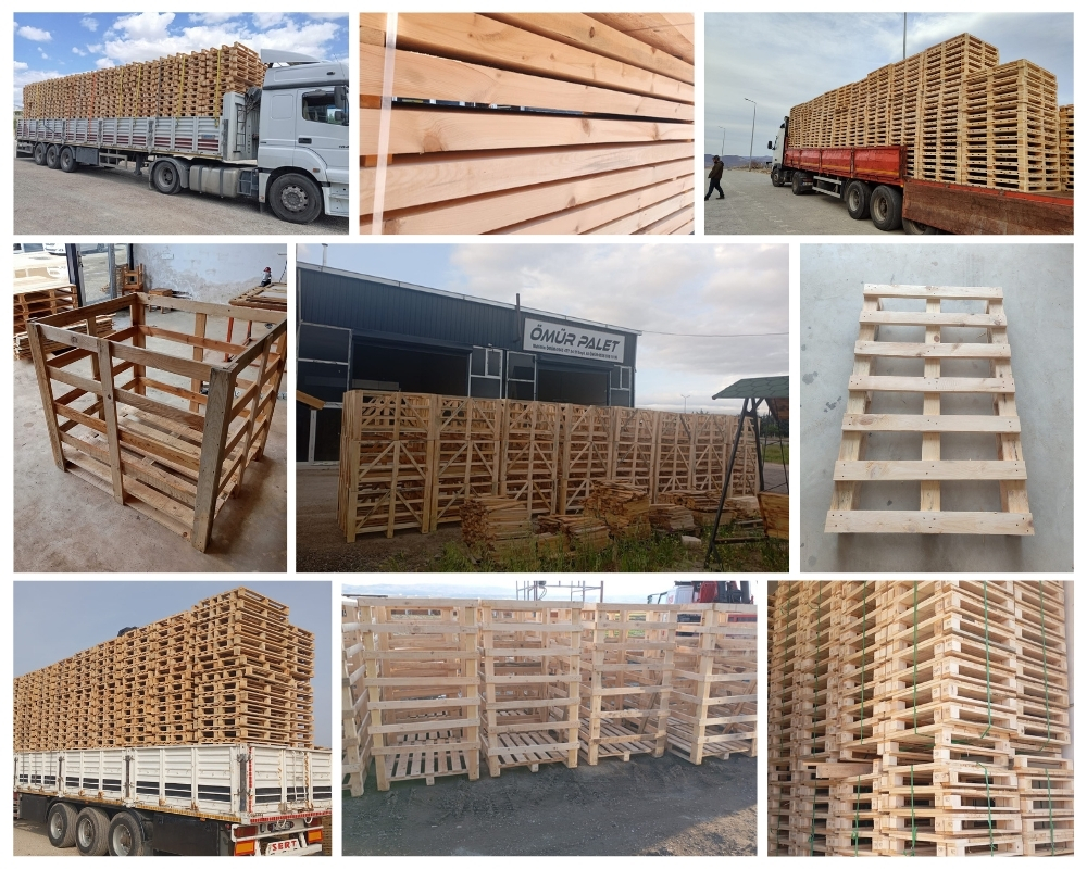 Poortugaal Houten Kisten, Europallets Groothandel Kopen